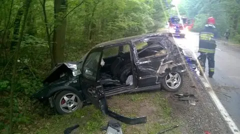 Golfem wpadł na drzewa. Policja szuka kierowcy