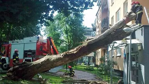 Wybite szyby, zniszczone wejście