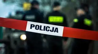 Policja (zdjęcie ilustracyjne)