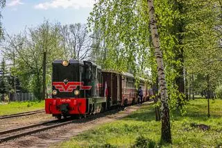 Warszawski Transport Publiczny proponuje również podróż Piaseczyńsko-Grójecka Koleją Wąskotorową