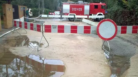 fot. Tomasz Zieliński/tvnwarszawa.pl