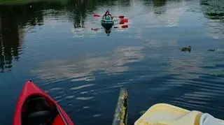 Pub Pod Pstrągiem