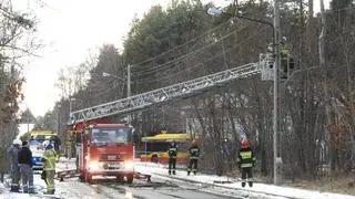 Drzewo spadło na przewody elektryczne