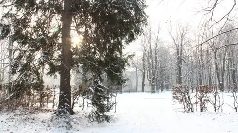 Sobota w stolicy: mróz i słaby śnieg