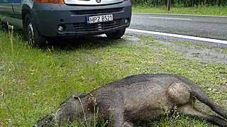 fot. Lech Marcinczak/tvnwarszawa.pl