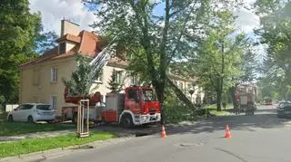 Akcja strażaków na Bielanach