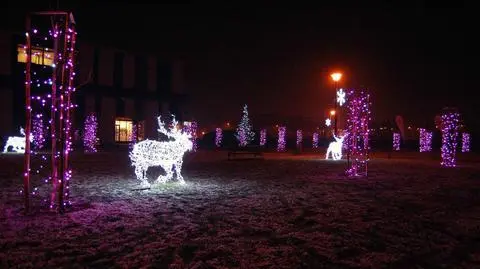 Świecące renifery, kolorowe lampki. Będzie też lodowisko