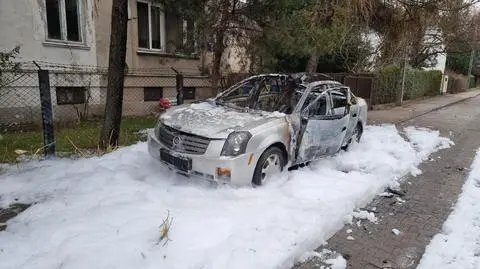 Wybuchły poduszki, auto spłonęło. "Porozrzucane elementy, wyrwany dach"