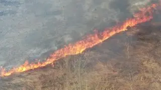 Pożar trawy pomiędzy Wisłą a Wałem Miedzeszyńskim