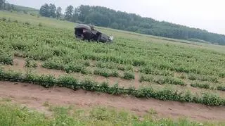 Samochód dachował pod Białobrzegami