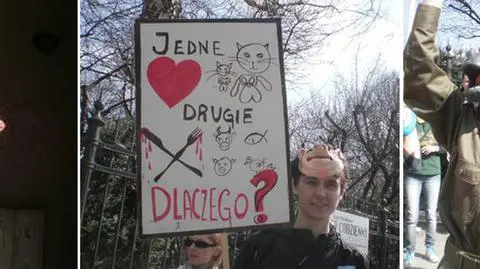 Marsz dla zwierząt w Waszych obiektywach