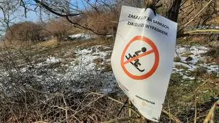 Zmiany w Parku Szczęśliwickim 