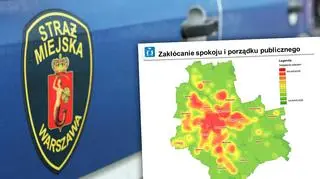 Straż miejska przedstawiła statystyki z 2016 roku