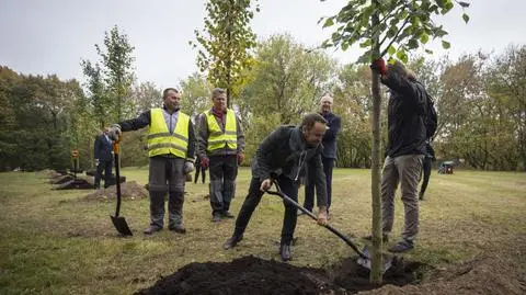 Zarząd Zieleni zamiast 22 miejskich instytucji