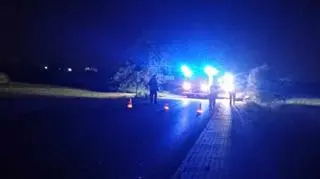 Motocyklista nie przeżył zderzenia z łosiem