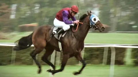 Styl grających na wyścigach