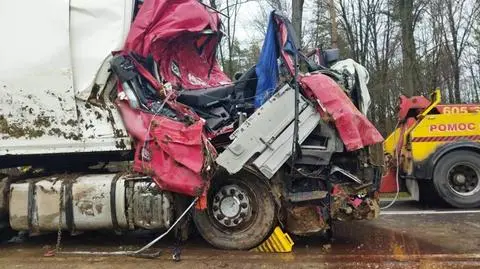 Kabina kierowcy zawinęła się na drzewie