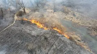 Duży pożar traw nad Wisłą