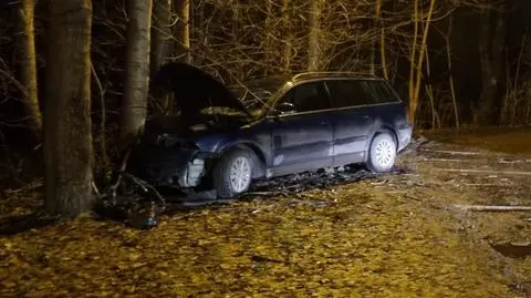 15-latek ruszył na przejażdżkę samochodem rodziców. "Zakończył ją, uderzając w drzewo"