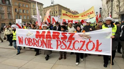 Marsz w obronie pszczół 