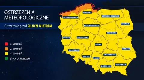 Nie parkujcie pod drzewami: IMGW ostrzega przed wiatrem