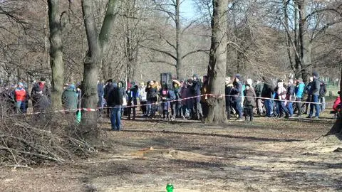 Protest przeciwko wycince drzew w Parku Powstańców Warszawy