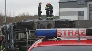 Ciężarówka z trzodą chlewną przewróciła się na rondzie