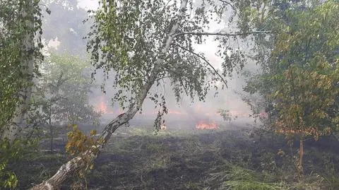 Zauważyli dym nad dawną jednostką wojskową, ogień szybko się rozprzestrzeniał