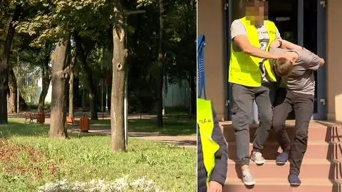 Atak na policjanta. 18-latek bez aresztu, nieletni trafią do schroniska