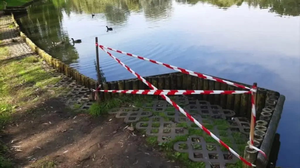 moczydlo