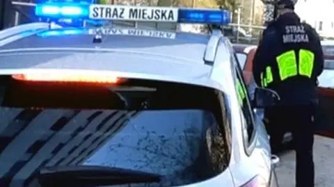 Stołeczni strażnicy miejscy
