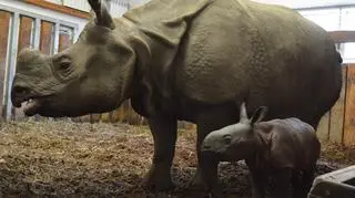 Nowy mieszkaniec warszawskiego zoo