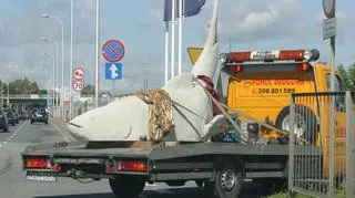 Olbrzymia betonowa ryba wjechała na plac budowy