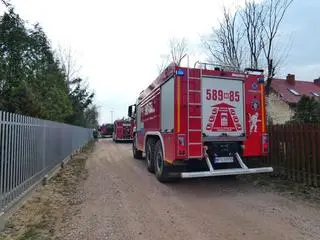 Ogień szedł prosto na zabudowania w Kajetanach