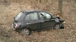 Nissan w rowie
