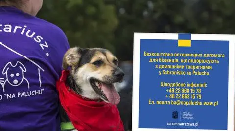 Schronisko na Paluchu oferuje darmową pomoc dla zwierząt uchodźców z Ukrainy