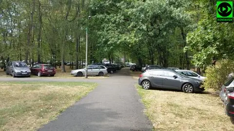 Zamienili Park Praski w parking. Posypały się mandaty