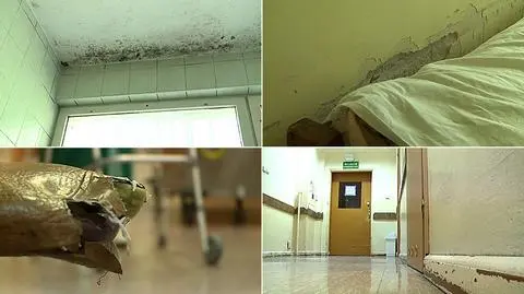 Grzyb, pluskwy, wata w oknach.  "Człowiek jest wrzucany w ściek"