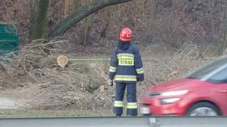 Straż usuwa konar przy Wisłostradzie