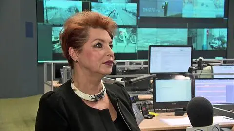 Kto odpowiada za zamieszki? "Organizator marszu"