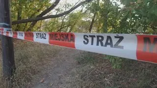 Poszukiwania skarbów w Wiśle