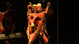 Wystawa "Body Worlds"