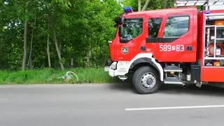 Potrącenie rowerzystki w Falentach