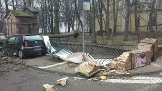 Na Św. Barbary drzewo uszkodziło parking i samochody 