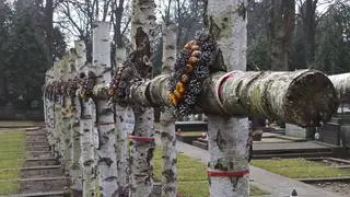 Brzozowe krzyże w kwaterze Batalionu "Zośka"