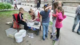 To pierwsza taki piknik w Kolonii Wawelberga