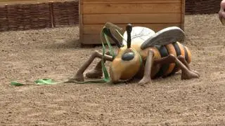 Naturalne zabawki w Dolinie Służewieckiej