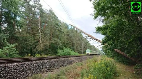 Burze wokół i nad Warszawą. Połamane drzewa spadły na dwoje pieszych. Jedna osoba nie żyje