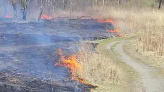 Pożar traw w Markach