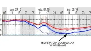 Wykres temperatury (dane ICM UW)